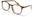 BL2008-TORT thumbnail 1
