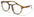 BL2009-TORT thumbnail 1