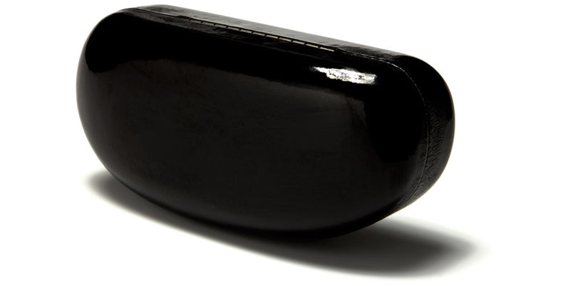 CASE-301FS