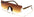 M10754 thumbnail 4