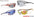 VRAST01 thumbnail 1